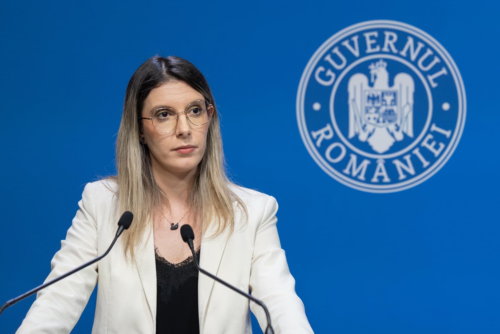 Ministra Mediului, Diana Buzoianu: Ministerul a atras 118 milioane de euro din fonduri externe în ultimele 10 luni, mai mult decât în 2021-2025